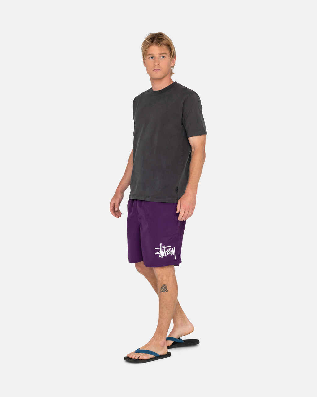 Stussy Big Basic Acqua Pantaloncini Viola | 371HEJICV