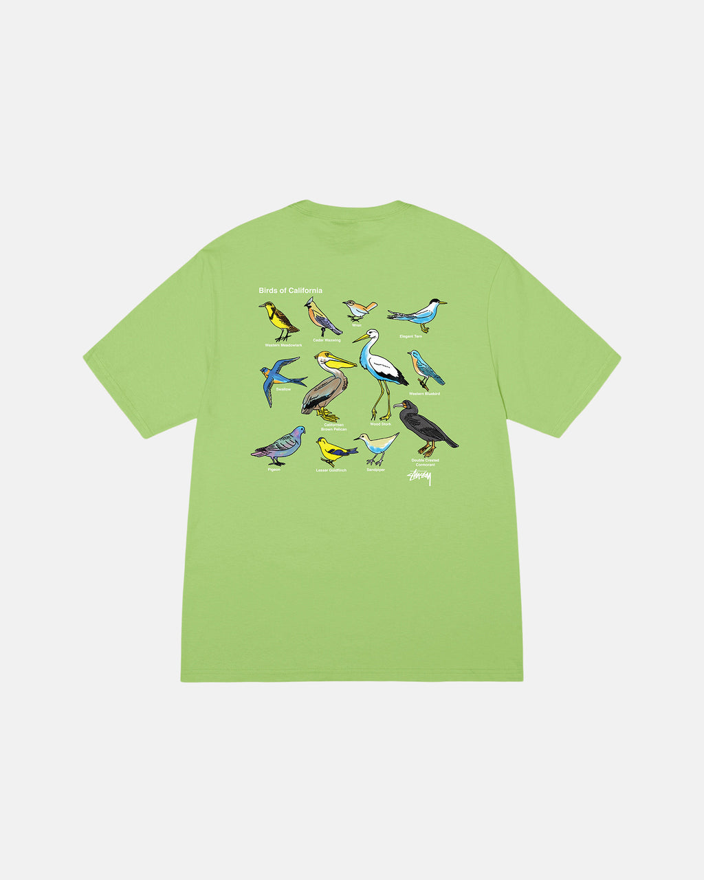 Stussy California Birds Magliette Running Tea | 302YTWVHK