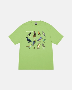 Stussy California Birds Magliette Running Tea | 302YTWVHK