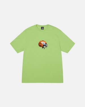 Stussy Ladybug Magliette Running Tea | 357IHTMOE