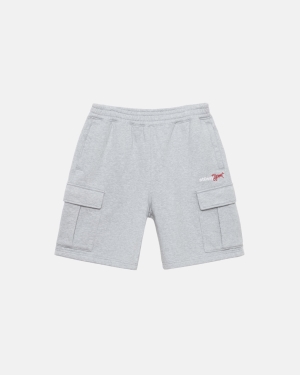 Stussy Sportive Fleece Pantaloncini Grigie | 021FALXCM