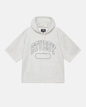 Stussy Ss Boxy Cropped Felpa con Cappuccio Grigie | 269FCQJIX